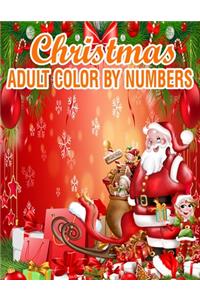 Christmas Adult Color By Numbers
