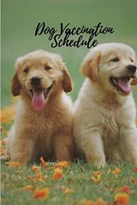 Dog Vaccination Schedule