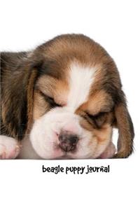 Beagle Puppy Journal