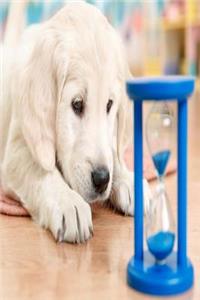2019 Daily Planner Cute Dog Lab Watches Sands Through Hourglass 384 Pages