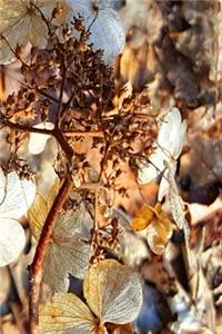 Dried Up Hydrangea Blooms 2019 Daily Planner 384 Pages