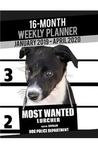 2019-2020 Weekly Planner - Most Wanted Lurcher