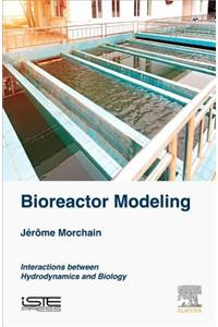 Bioreactor Modeling