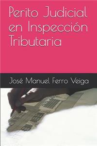 Perito Judicial En Inspección Tributaria