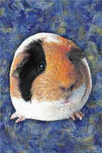 Guinea Pig