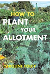 How to Plant Your Allotment