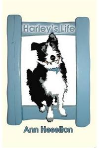 Harley's Life