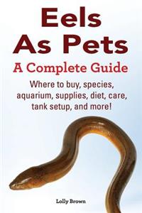 Eels As Pets
