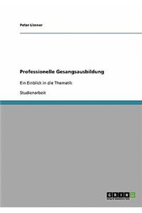 Professionelle Gesangsausbildung