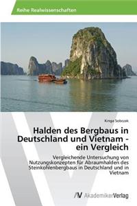 Halden des Bergbaus in Deutschland und Vietnam - ein Vergleich