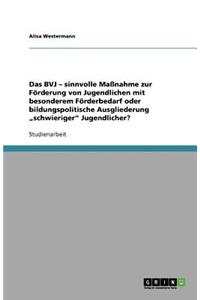 Das BVJ - sinnvolle Maßnahme zur Förderung von Jugendlichen mit besonderem Förderbedarf oder bildungspolitische Ausgliederung 