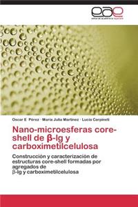 Nano-microesferas core-shell de β-lg y carboximetilcelulosa