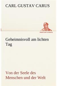 Geheimnisvoll Am Lichten Tag