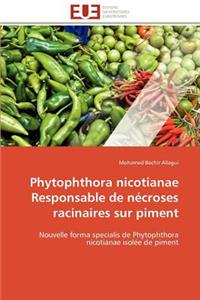 Phytophthora nicotianae responsable de nécroses racinaires sur piment