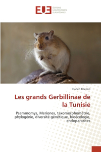 Les grands Gerbillinae de la Tunisie