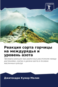 Реакция сорта горчицы на междурядья и уроk