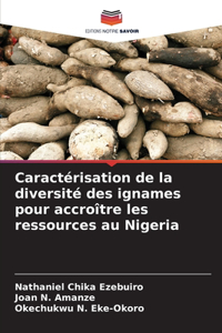 Caractérisation de la diversité des ignames pour accroître les ressources au Nigeria