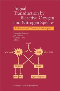 Signal Transduction by Reactive Oxygen and Nitrogen Species: Pathways and Chemical Principles