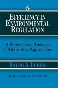 Efficiency in Environmental Regulation