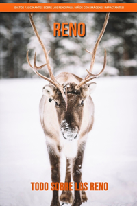 Todo sobre los Reno