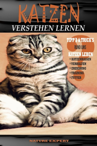 Katzen Verstehen Lernen