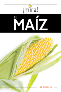Maíz