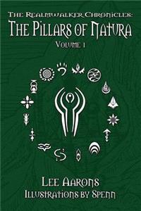 The Realmwalker Chronicles