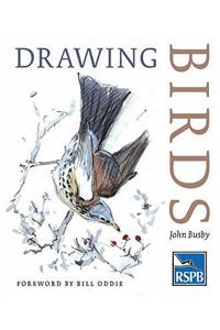 Drawing Birds