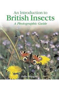 British Insects