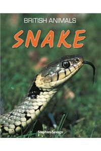 Snake. Stephen Savage