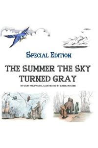 The Summer the Sky Turned Gray