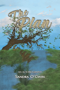 The Plan