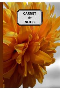 Carnet de Notes