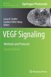 VEGF Signaling