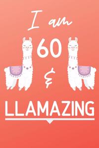 I Am 60 And Llamazing