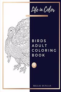 BIRDS ADULT COLORING BOOK (Book 9)