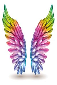 Colorful wings