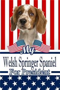 My Welsh Springer Spaniel for President