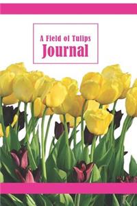 A Field of Tulips