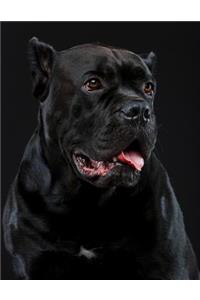 Cane Corso Notebook
