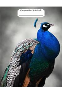 Composition Notebook Peacock Design Vol 10