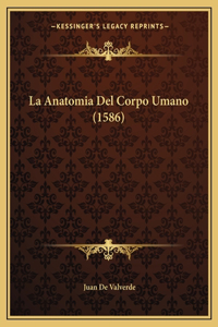 Anatomia Del Corpo Umano (1586)