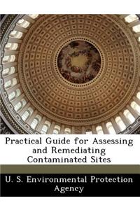 Practical Guide for Assessing and Remediating Contaminated Sites
