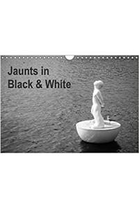 Jaunts in Black and White 2018