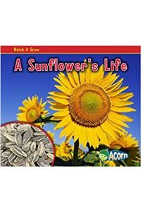 A Sunflowers Life: 1 (Acorn)