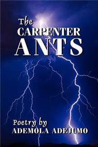 Carpenter Ants