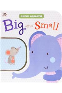 Big and Small