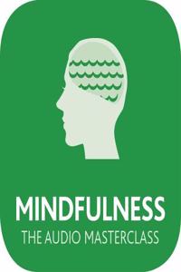 THE MINDFULNESS AUDIO MASTERCLASS