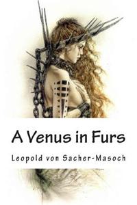 A Venus in Furs