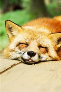 MindBlowing Cut Animal Fox Journal 5